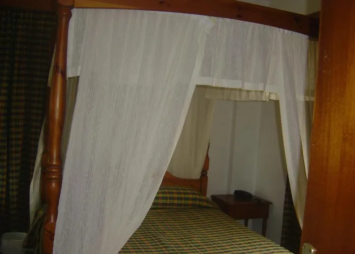 Layiotis ラルナカ